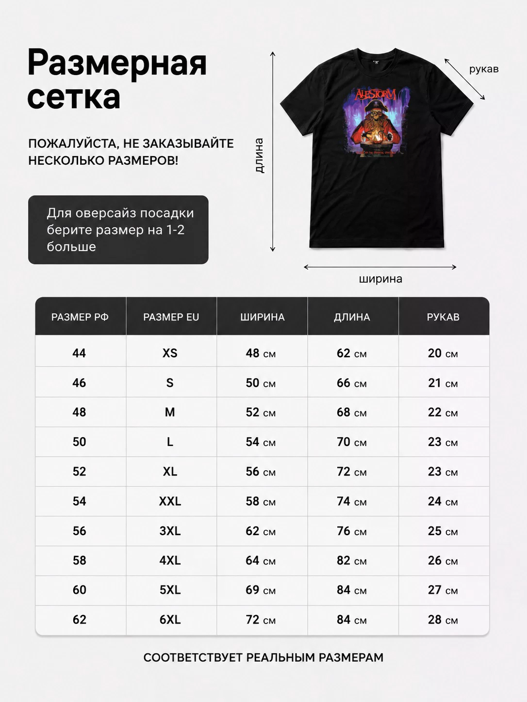 Детали: Футболка Alestorm